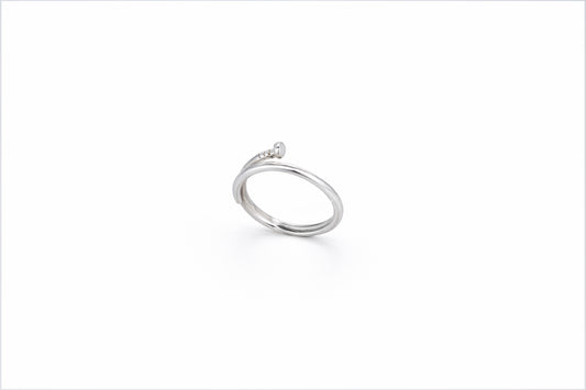 Anello Chiodo